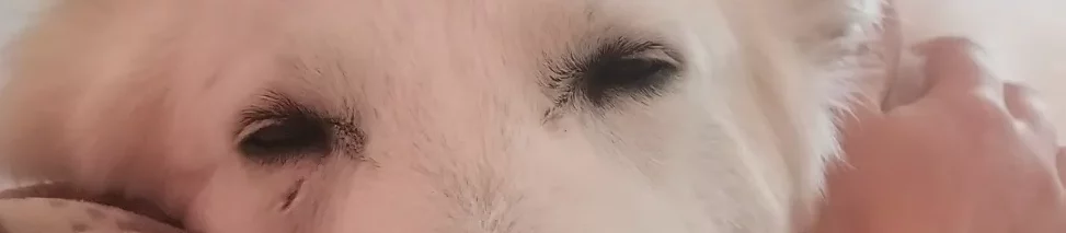 moment zen contactez moi